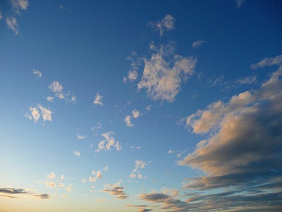 s-P1010277.jpg