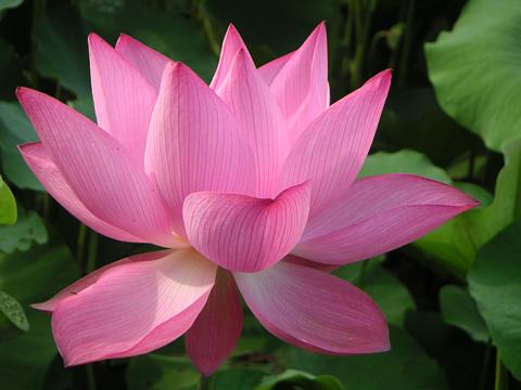 PICT0065.jpg