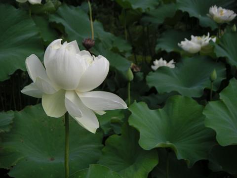 PICT0073.jpg